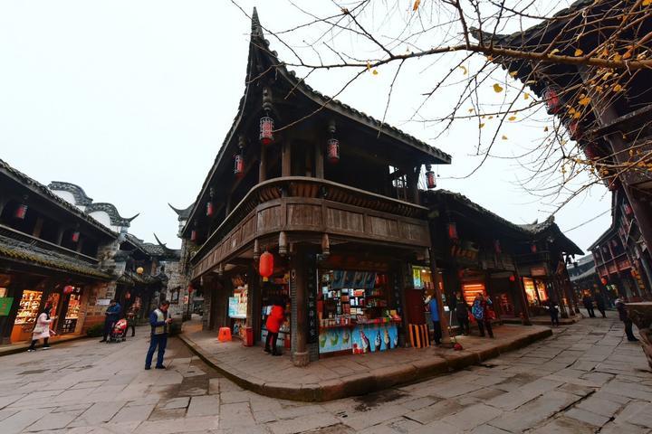 救援大嘴鸟